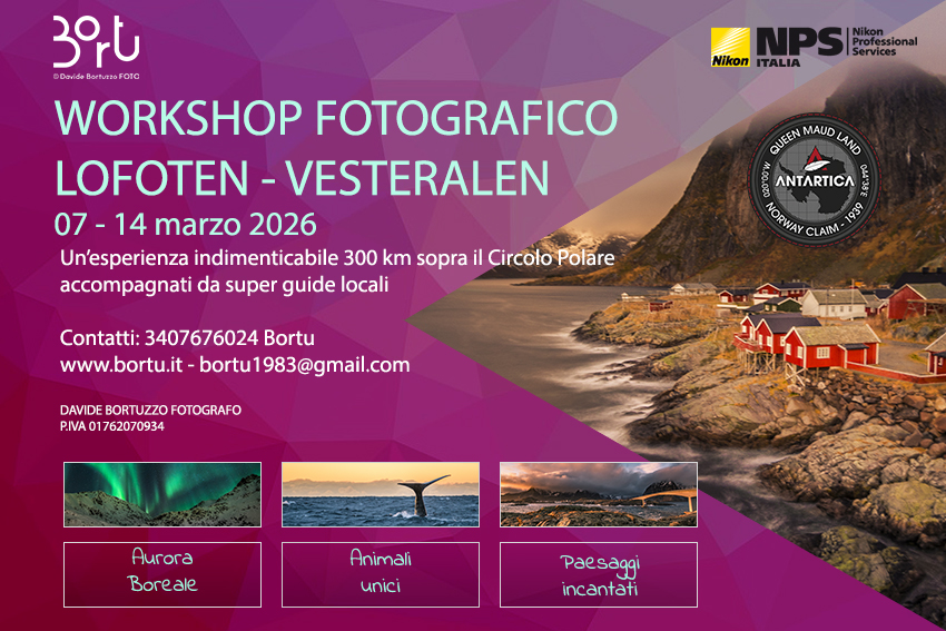 WORKSHOP FOTOGRAFICO LOFOTEN VESTERALEN 7-14 marzo 2026