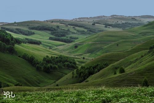 Transilvania landscape